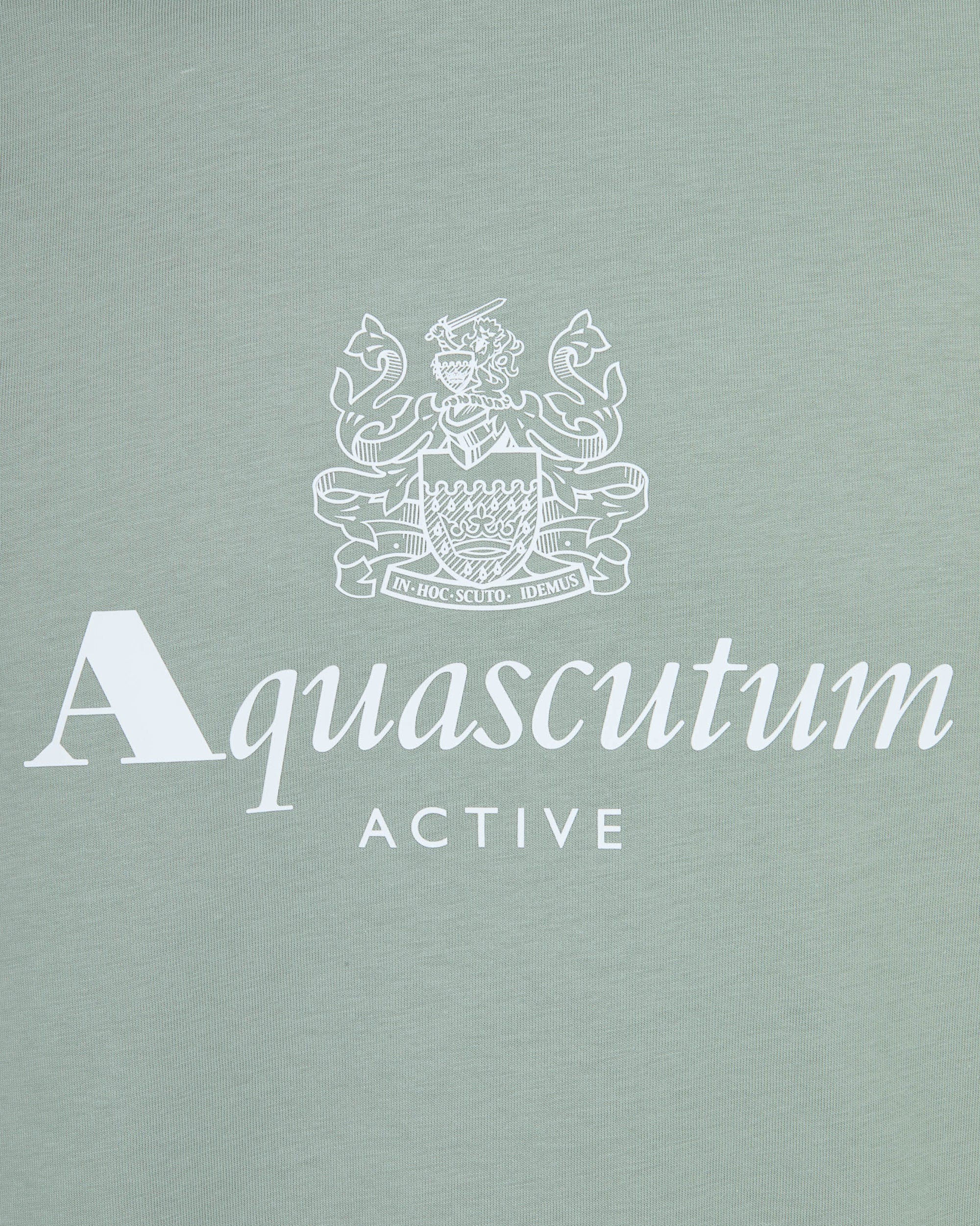 BIG LOGO T-SHIRT - Image 3